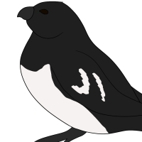 Thumbnail for ANI-4336: Orion