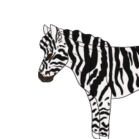 Thumbnail image for ANI-4342: Dallas