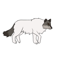 Thumbnail image for ANI-4355: Rhea