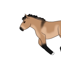 Thumbnail image for ANI-4357: Bubbles