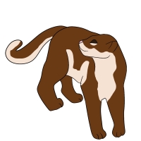 Thumbnail for ANI-4360: Cinnamon