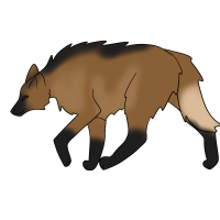 Thumbnail for ANI-4362: Odin