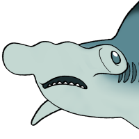 Thumbnail for ANI-4371: Scalloped Hammerhead (M)