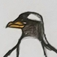 Thumbnail for ANI-4393: Zimbo