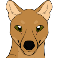 Thumbnail for ANI-4401: Tiger