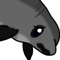 Thumbnail for ANI-4402: Esperanza