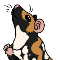 Thumbnail for ANI-4403: Mondo