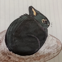 Thumbnail for ANI-4432: Amami Rabbit (F)