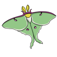 Thumbnail for ANI-4450: Apollo