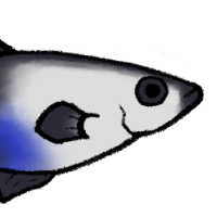 Thumbnail image for ANI-4452: Tide