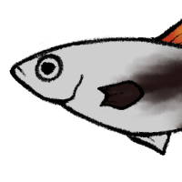 Thumbnail image for ANI-4453: Scorch