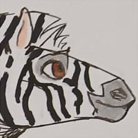 Thumbnail for ANI-4460: Burchell's Zebra (F)