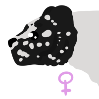 Thumbnail for ANI-4465: Rorschach