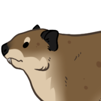 Thumbnail for ANI-4470: WaaWAA