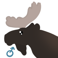 Thumbnail for ANI-4475: Summit