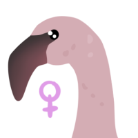 Thumbnail for ANI-4476: Lesser Flamingo (F)