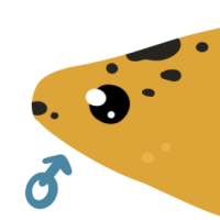 Thumbnail for ANI-4477: Diego