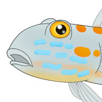 Thumbnail for ANI-4481: Dia