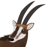 Thumbnail for ANI-4494: Acacia