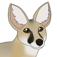 Thumbnail for ANI-4503: Scout