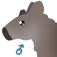 Thumbnail for ANI-4518: Japanese Serow (M)