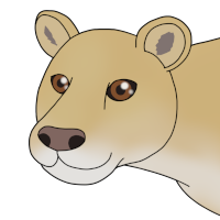 Thumbnail for ANI-4520: Nile