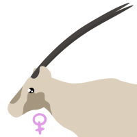 Thumbnail for ANI-4524: Magnum