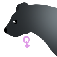 Thumbnail for ANI-4526: American Black Bear Glacier (F)