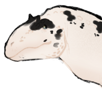 Thumbnail for ANI-4528: Oreo