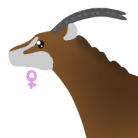 Thumbnail for ANI-4529: Sable Antelope (F)