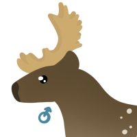 Thumbnail for ANI-4531: Persian Fallow Deer (M)