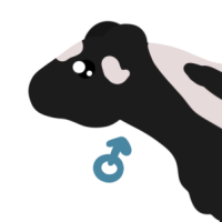 Thumbnail for ANI-4532: Striped Polecat (M)