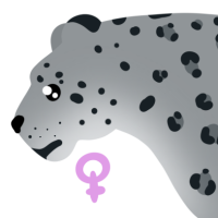 Thumbnail image for ANI-4537: Snow Leopard (F)