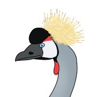 Thumbnail for ANI-4543: Koosh