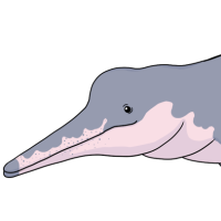 Thumbnail for ANI-4546: Bolívar