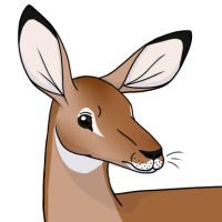 Thumbnail for ANI-4548: Rachel