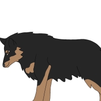 Thumbnail for ANI-4554: Ebony