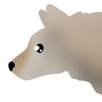 Thumbnail for ANI-4559: Grey Wolf (F)