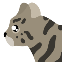 Thumbnail for ANI-4560: Black-Footed Cat (M)