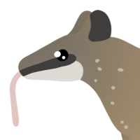 Thumbnail for ANI-4563: Numbat (F)