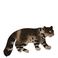 Thumbnail for ANI-4569: Titan