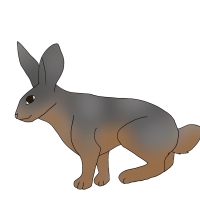 Thumbnail for ANI-4570: Marabelle