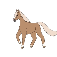 Thumbnail image for ANI-4575: Sunny