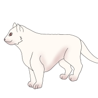 Thumbnail for ANI-4577: Cream Cheese