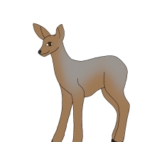 Thumbnail for ANI-4578: Lilac