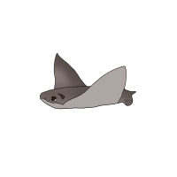 Thumbnail for ANI-4587: Scott