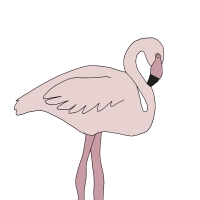 Thumbnail for ANI-4588: Shrimp