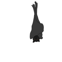 Thumbnail for ANI-4596: Renee