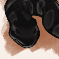 Thumbnail for ANI-1269: ebony