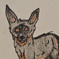 Thumbnail for ANI-4604: Bat-Eared Fox (M)